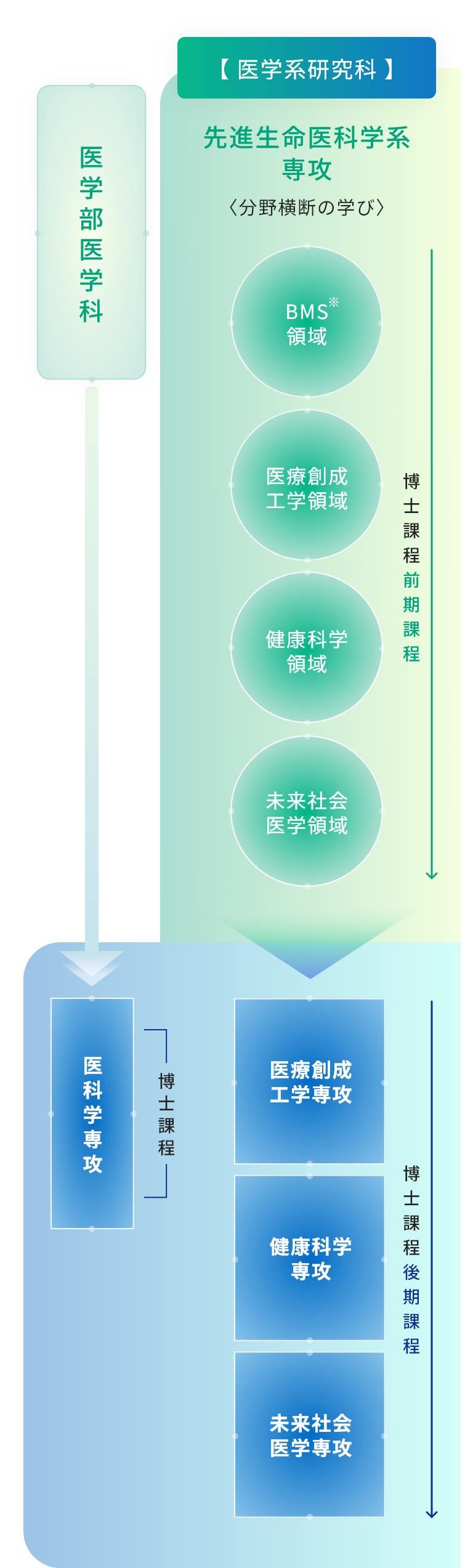 分野横断図 SP