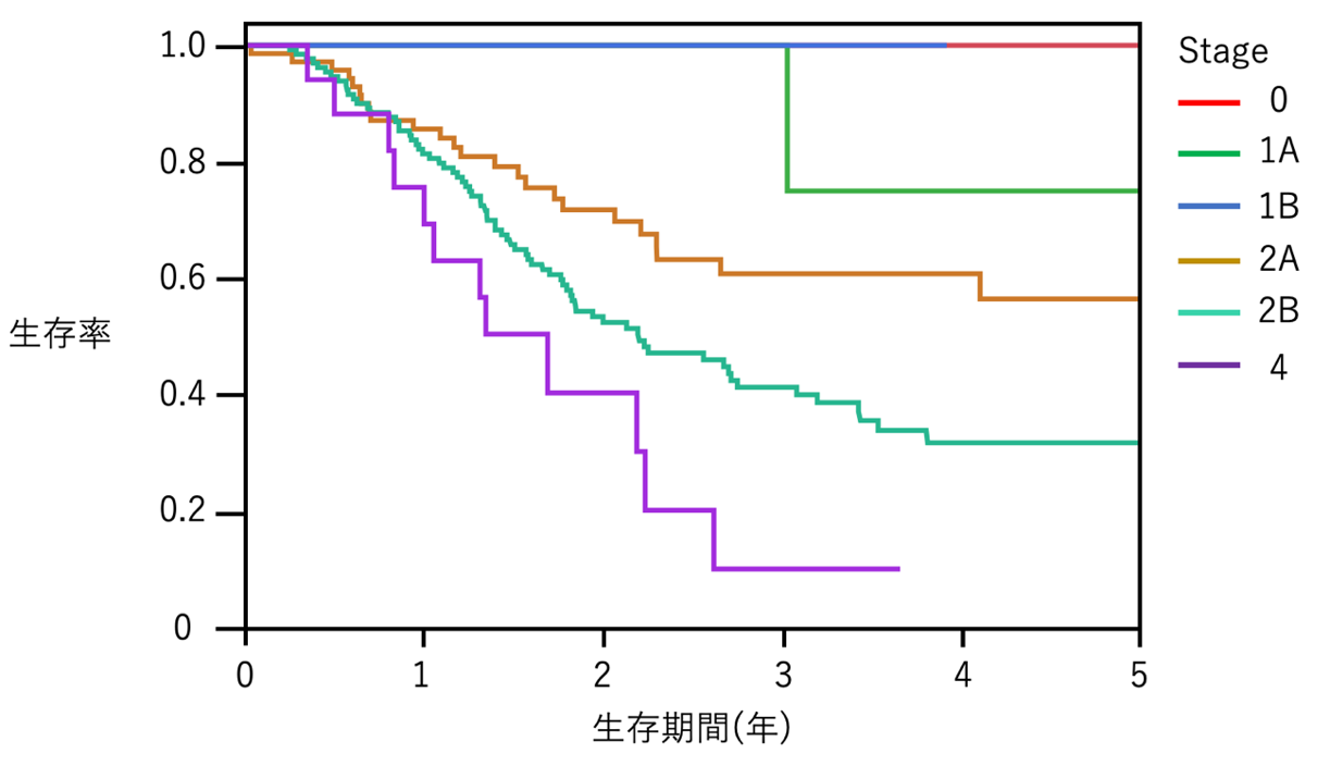 2013～2019年治療成績