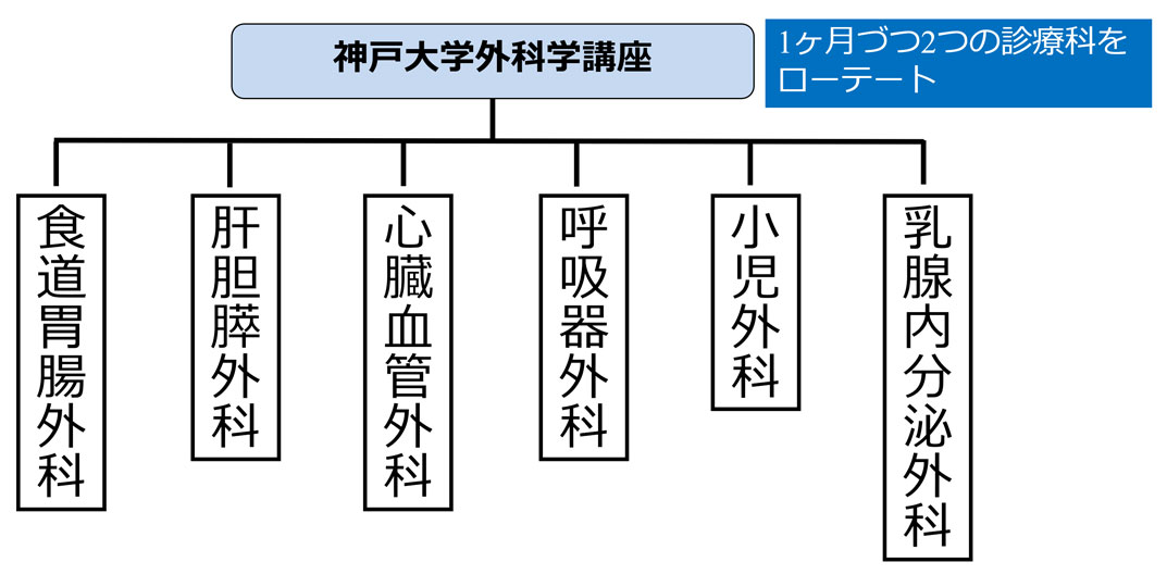 研修コース