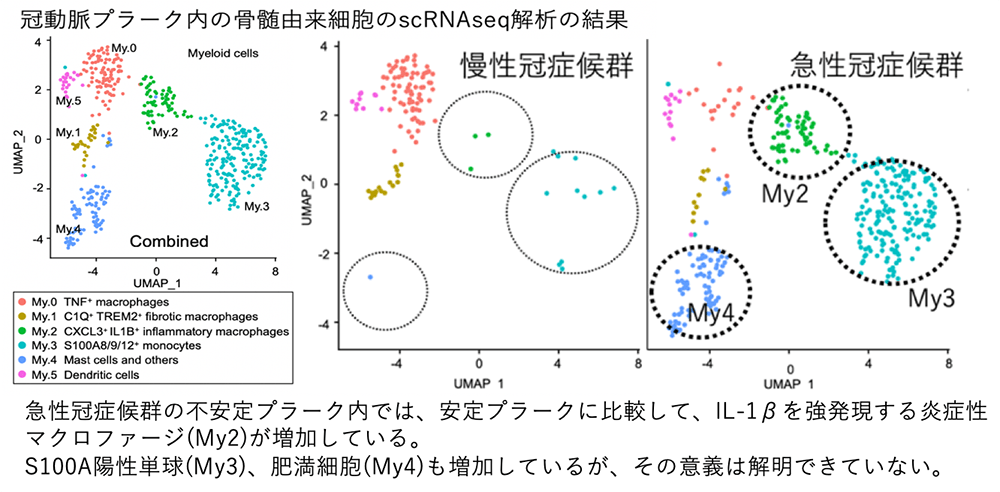 fig01