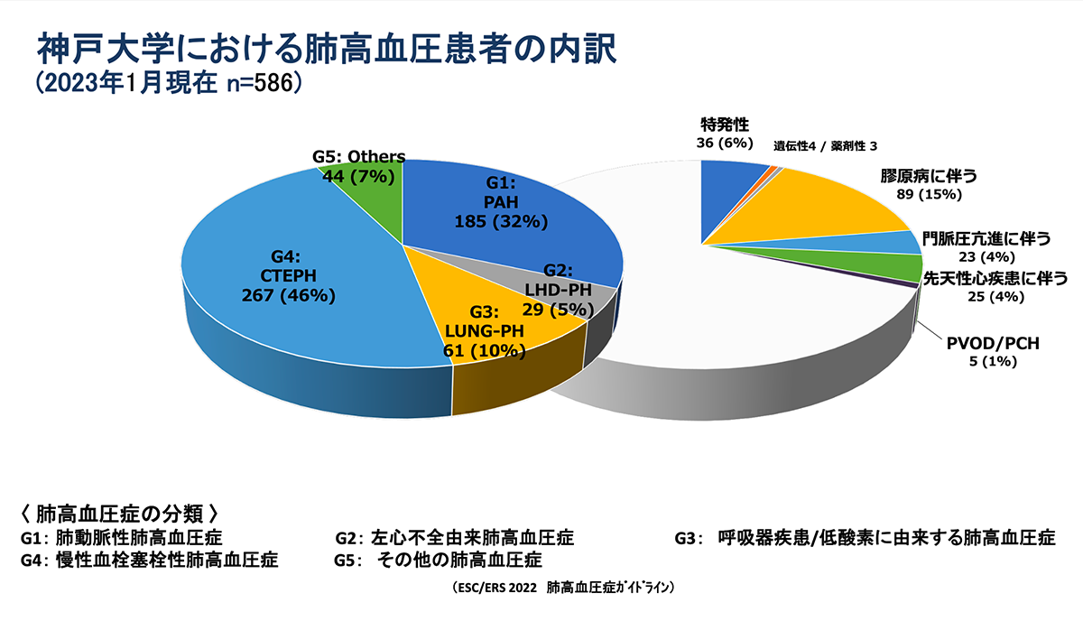 肺高血圧患者数の内訳