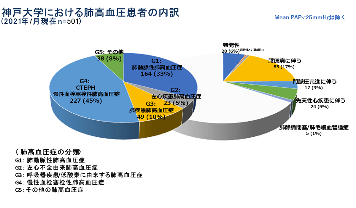 肺高血圧患者内訳