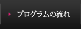 プログラムの流れ