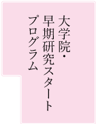 大学院・早期研究スタートプログラム