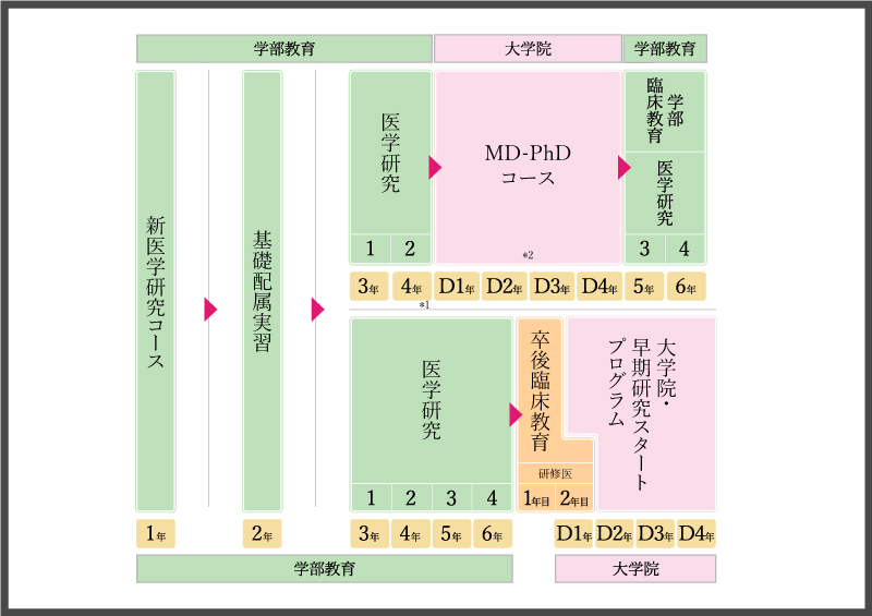 Physiology（生理学）～海外医学部を６年で卒業プロジェクト～