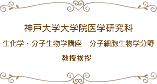 神戸大学大学院医学研究科 生化学・分子生物学講座　分子細胞生物学分野 教授挨拶