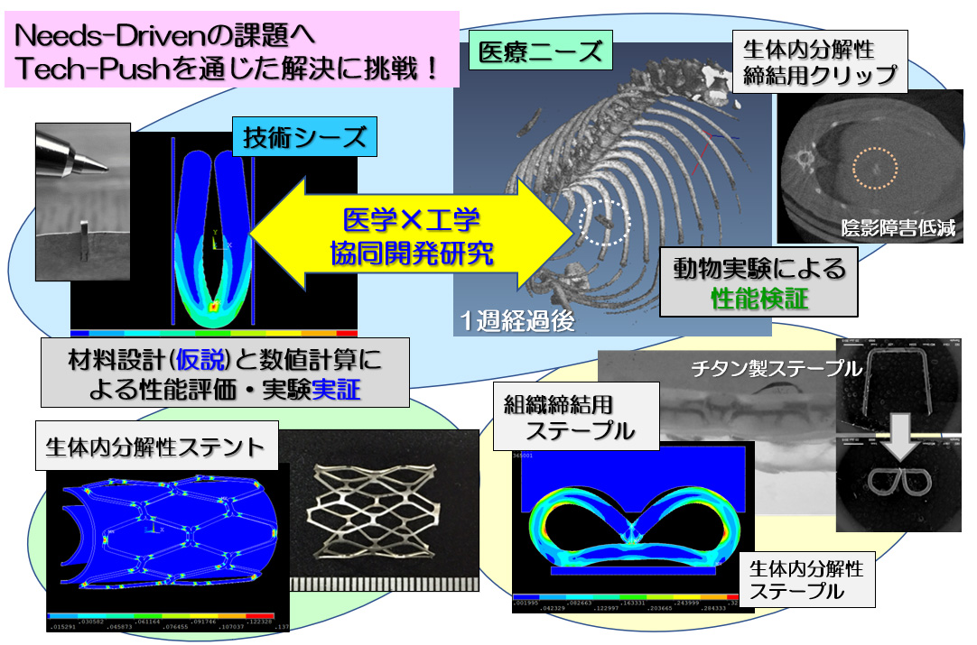 研究紹介