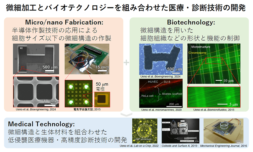微細加工とバイオテクノロジーを組み合わせた医療・診断技術の開発