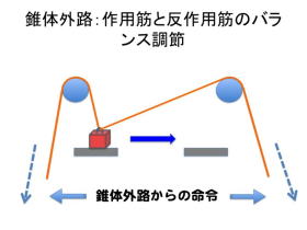 パーキンソン氏病の治療