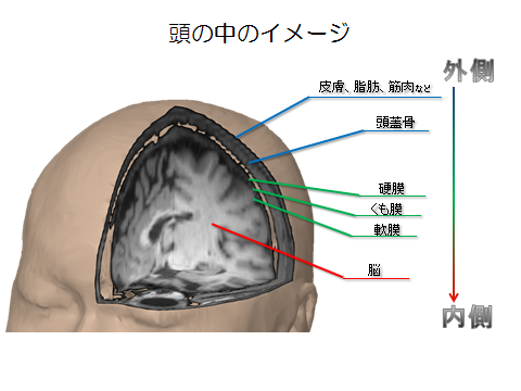頭部外傷 診療内容 臨床 神戸大学医学部附属病院 脳神経外科