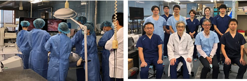 第3回Cadaver腹腔鏡手術トレーニング