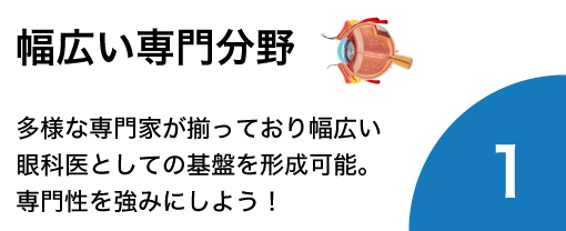幅広い専門分野