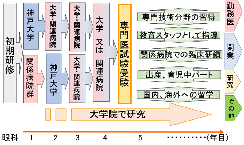 研修のローテーション