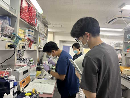 石田聖幸先生の短期ラボ滞在の様子 2