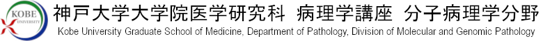 神戸大学 病理学講座 分子病理学分野