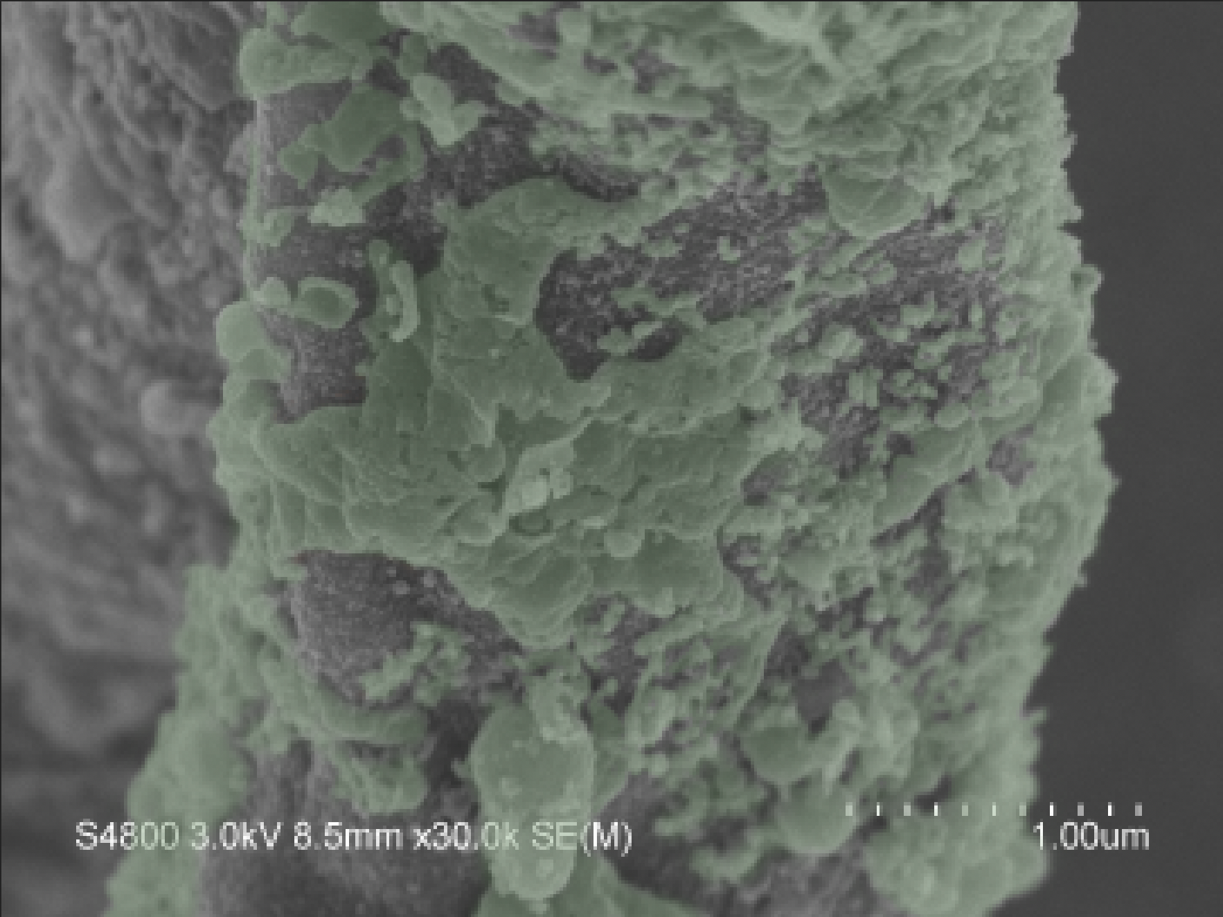 Laboratory Main Image 3