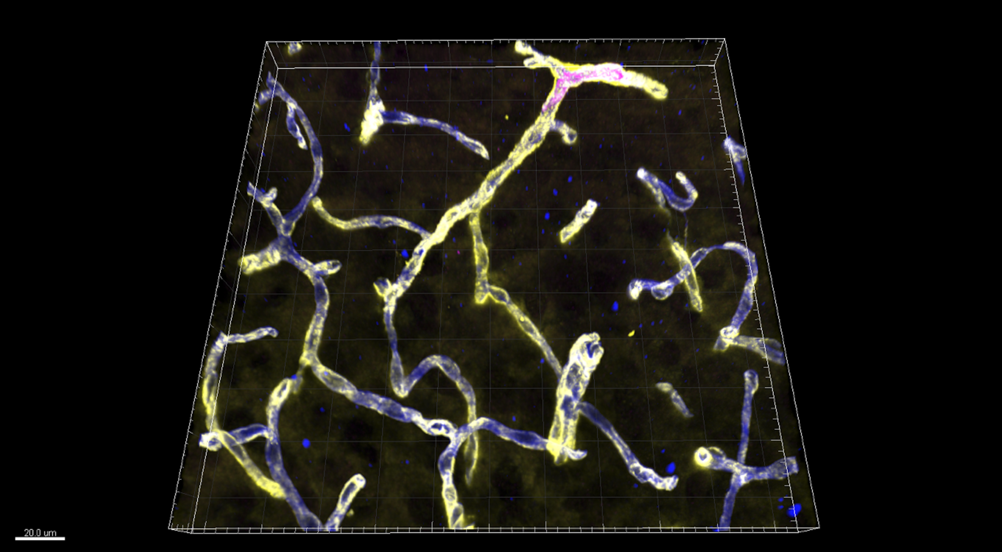 Laboratory Main Image 4