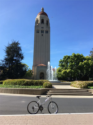 スタンフォード大学といえばフーバータワー、毎日自転車で通り過ぎています