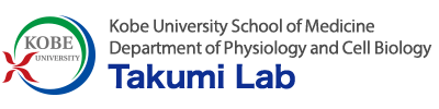 Takumi Lab | Kobe University School of Medicine