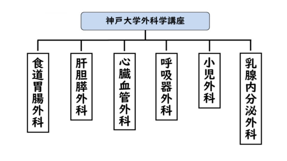 6診療科
