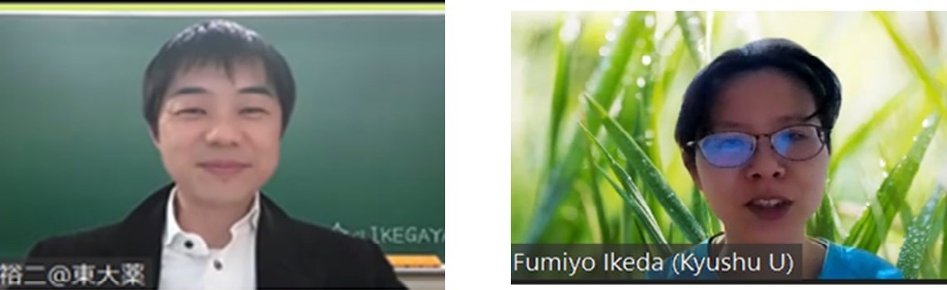 ここに画像が表示されます。