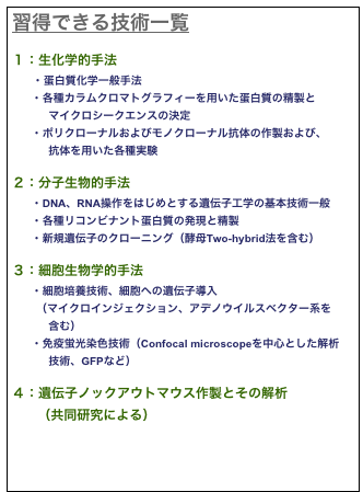 習得できる技術一覧
１：生化学的手法 　    ･ 蛋白質化学一般手法 　　･ 各種カラムクロマトグラフィーを用いた蛋白質の精製と             マイクロシークエンスの決定 　　･ ポリクローナルおよびモノクローナル抗体の作製および、             抗体を用いた各種実験
２：分子生物的手法 　　･ DNA、RNA操作をはじめとする遺伝子工学の基本技術一般 　　･ 各種リコンビナント蛋白質の発現と精製 　　･ 新規遺伝子のクローニング（酵母Two-hybrid法を含む）
３：細胞生物学的手法 　　･ 細胞培養技術、細胞への遺伝子導入         （マイクロインジェクション、アデノウイルスベクター系を             含む） 　　･ 免疫蛍光染色技術（Confocal microscopeを中心とした解析             技術、GFPなど）
４：遺伝子ノックアウトマウス作製とその解析        （共同研究による）
 