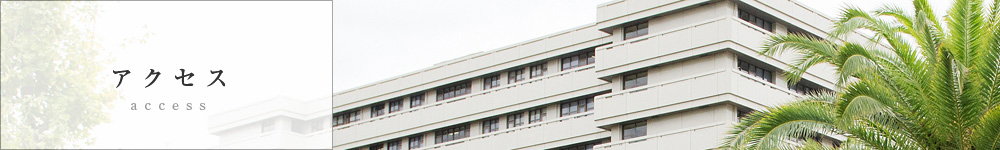 アクセス