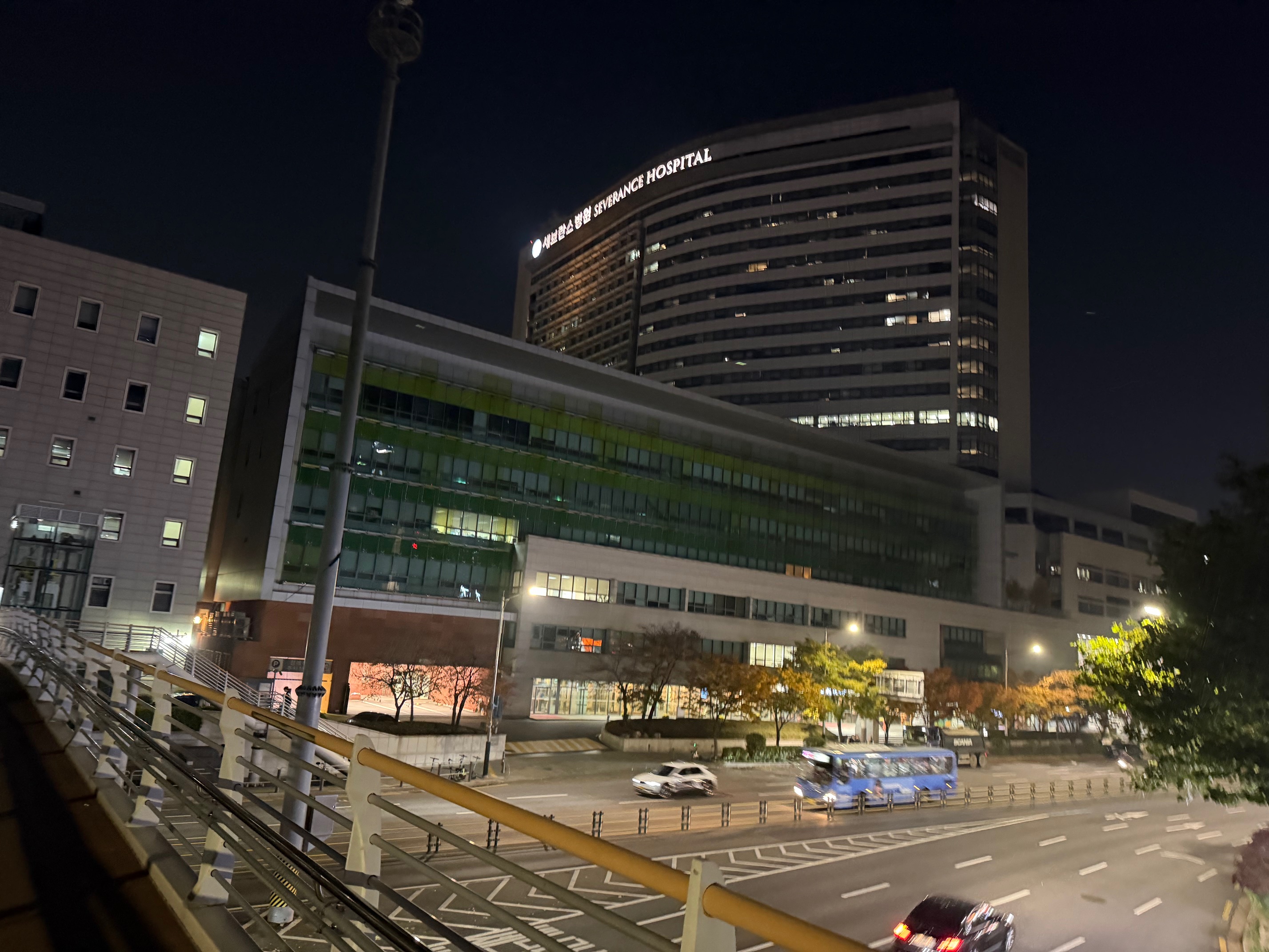 Yonsei University(韓国)